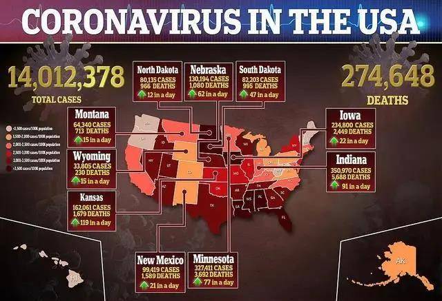 美国疫情最新动态,变化中的力量与学习带来的自信与成就感