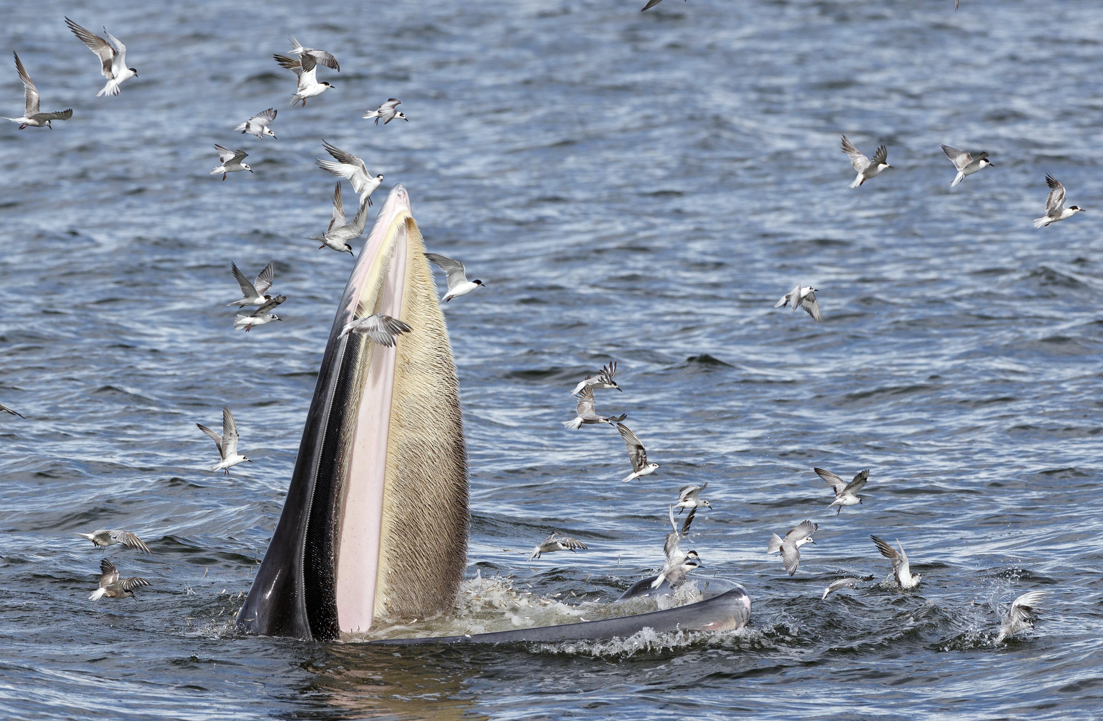 新冠疫情播报最新动态📢