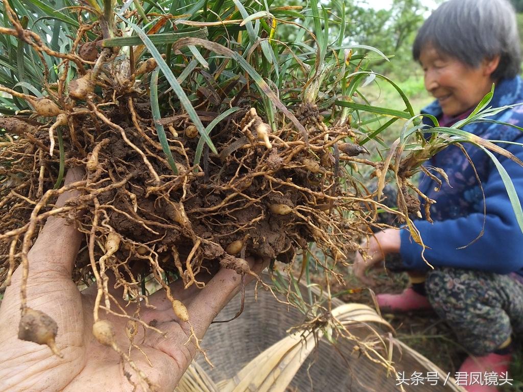 远离色情内容，寻找正规娱乐平台，丰富您的生活体验！