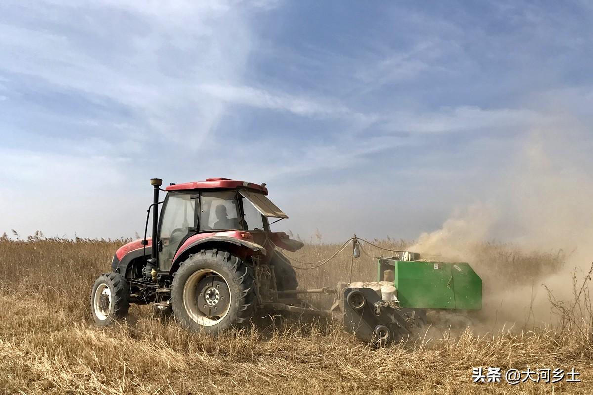 远离色情内容,寻找正规娱乐平台,丰富您的生活体验!