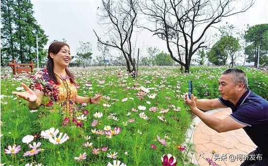 最新抖音5星,最新抖音五星,带你领略潮流最前沿!✨