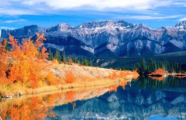 加拿大最新疫情情况更新