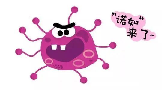 笑对最新病毒拉肚子，用知识迎接生活挑战的挑战！