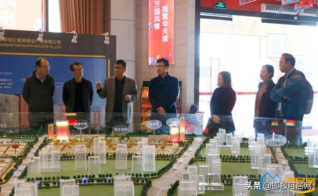 保定交通局长最新任务指南，交通规划与管理的实践与挑战
