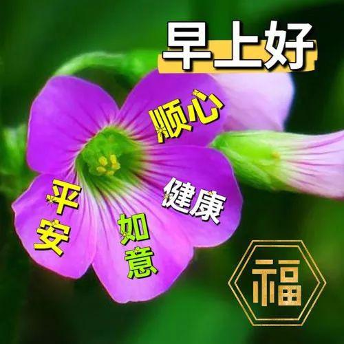 今日最新问候图语，高科技产品介绍概览
