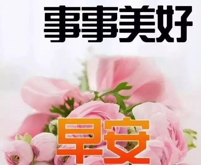 今日最新问候图语,高科技产品介绍概览