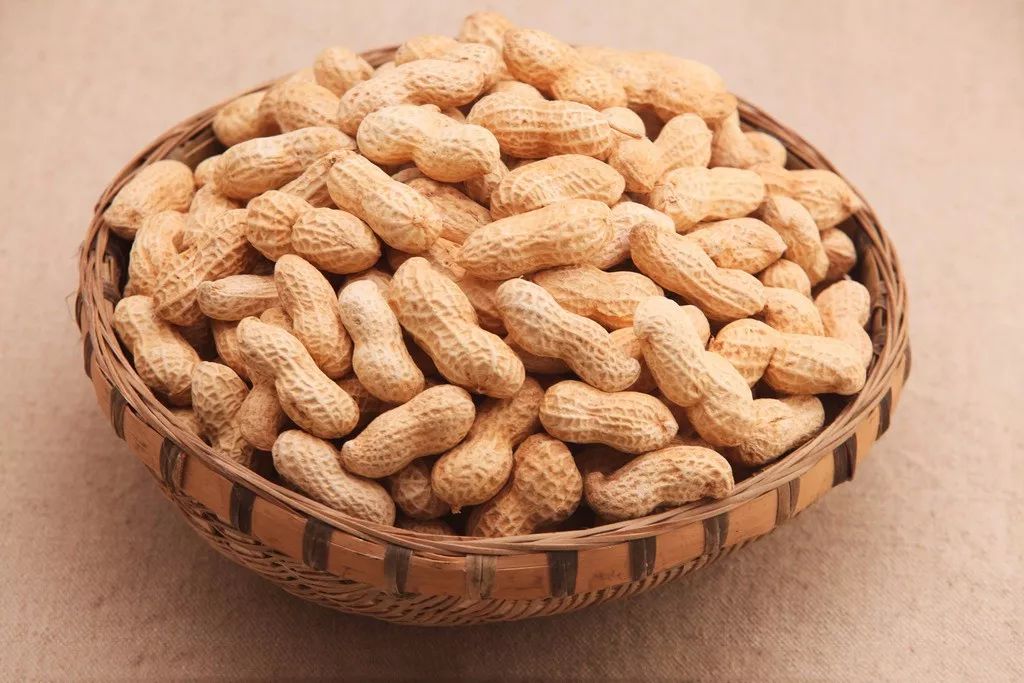 花生十三最新版,自然美景探险之旅启程