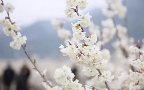 烘干机网带 第296页