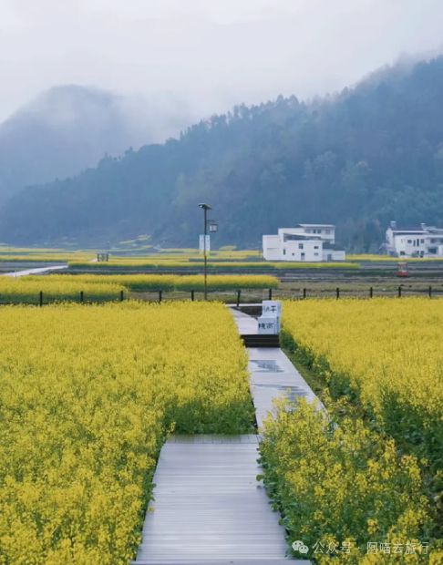 春暖花开最新登录地址及操作指南，适合初学者与进阶用户指南