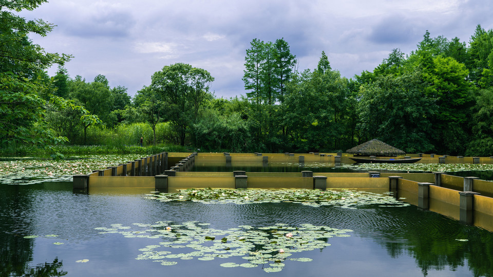 江安河湿地公园最新动态,绝美风景一网打尽!