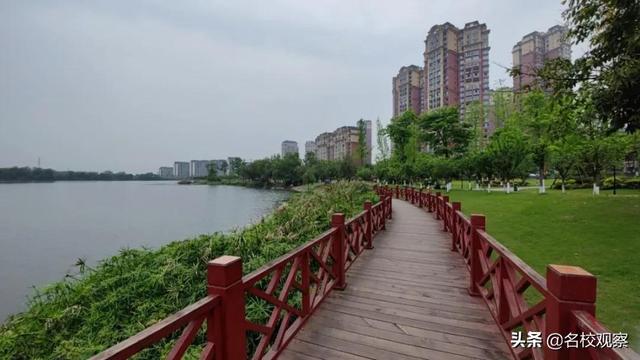 江安河湿地公园最新动态,绝美风景一网打尽!