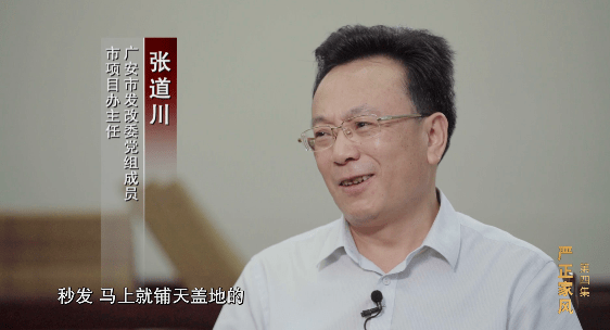 严书记最新动态，深度解析与观察报告