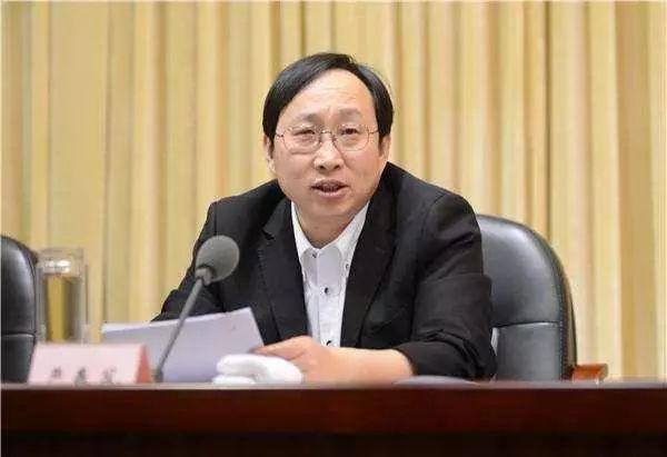 严书记最新动态,深度解析与观察报告