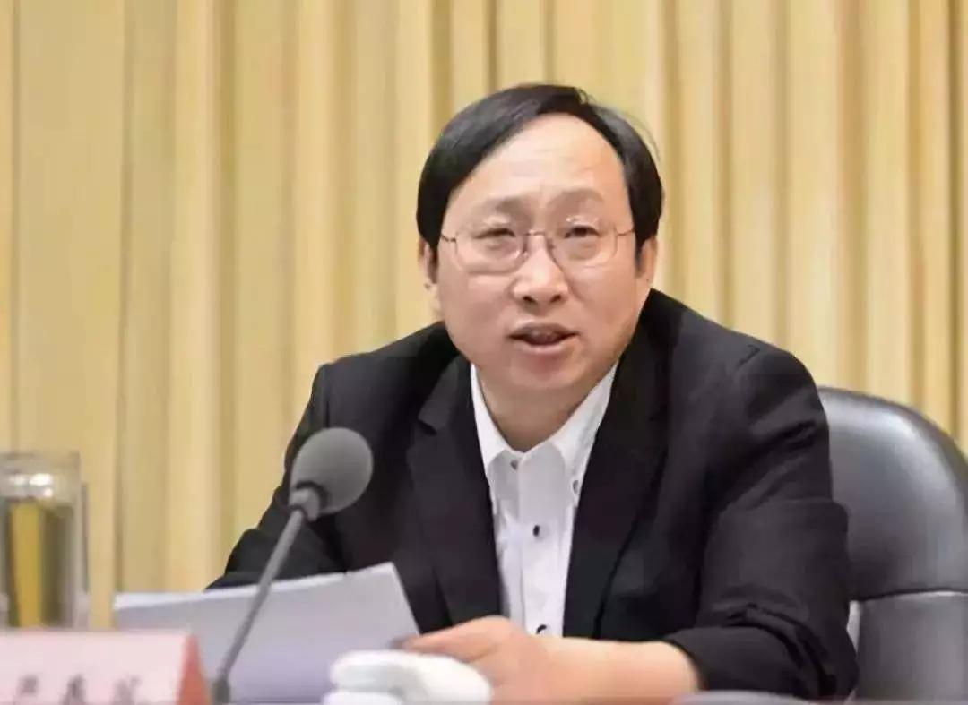 严书记最新动态,深度解析与观察报告