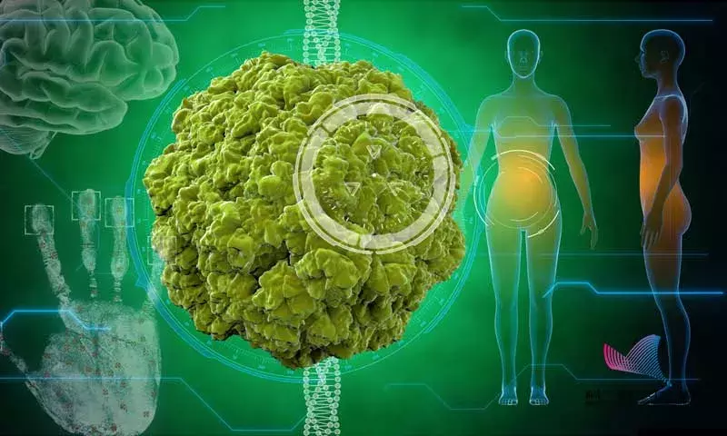 槟城最新病毒深度解析与应对策略