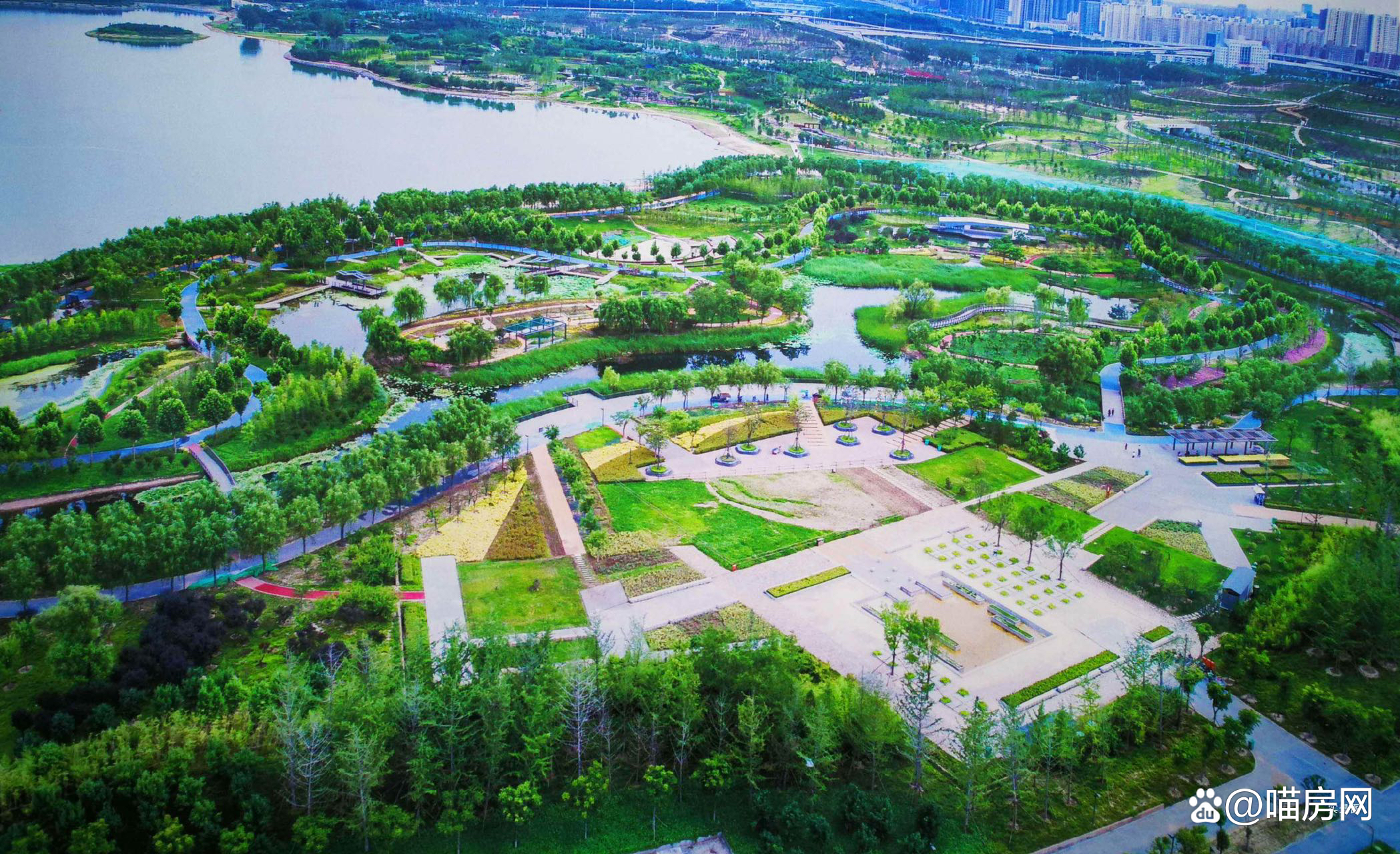 杨金片区最新动态，活力源泉与无限可能的变革之路