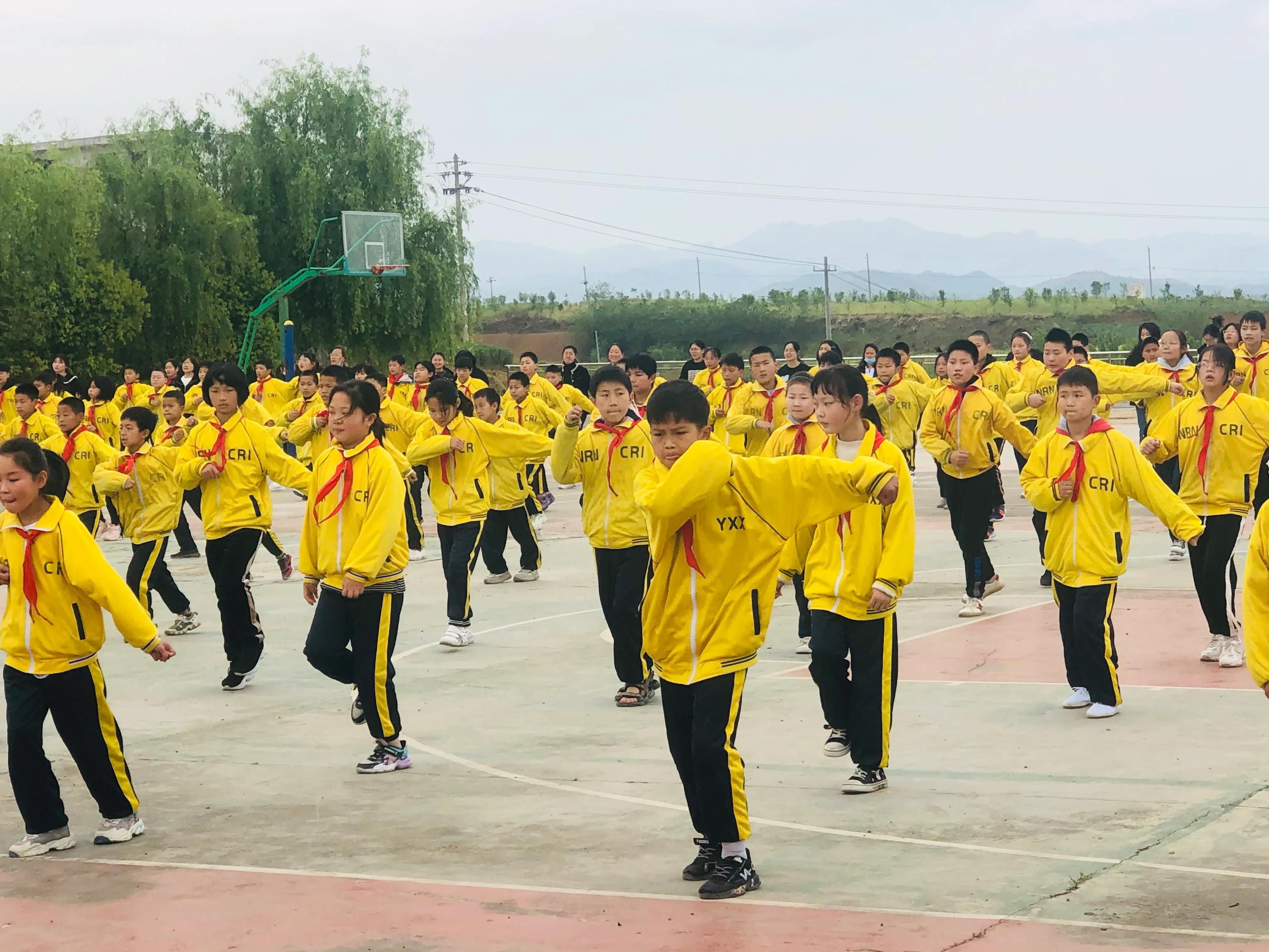 不锈钢链板 第259页