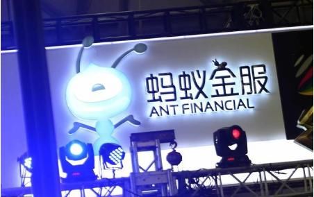 不锈钢螺旋网带 第252页