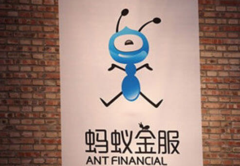 蚂蚁金服基金最新动态,引领金融科技,重塑投资未来之路