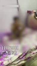 浸猪笼原视频最新，背后的故事与现象探究