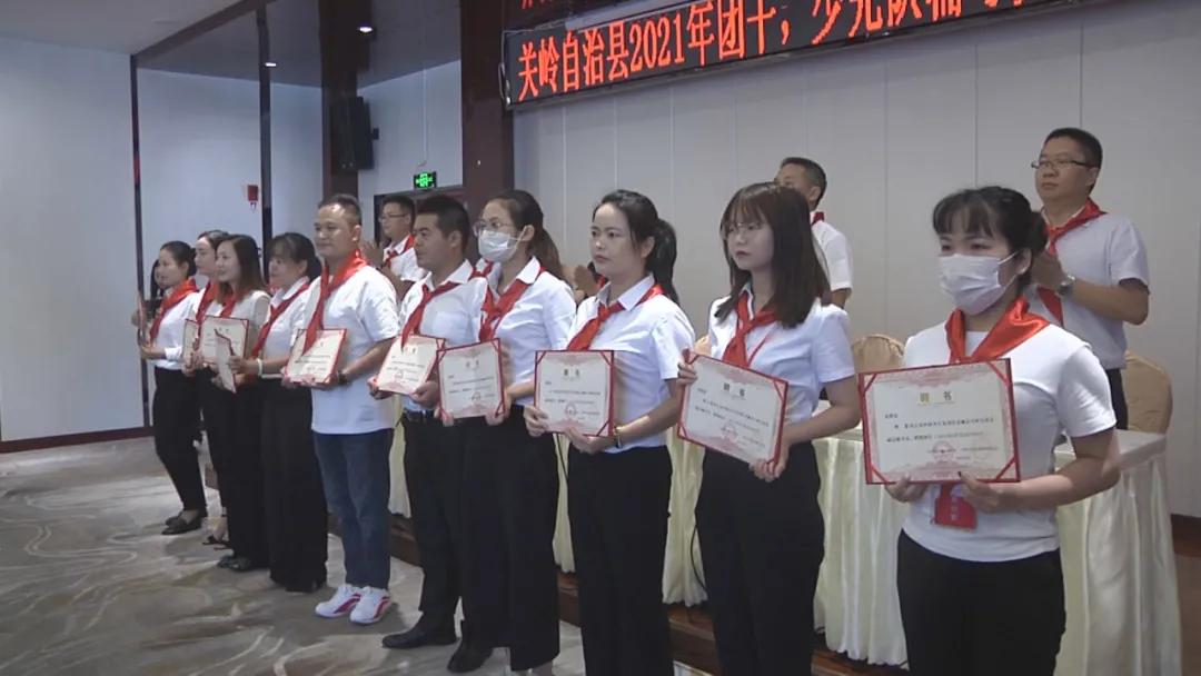 辅导员最新时政深度解析与探讨