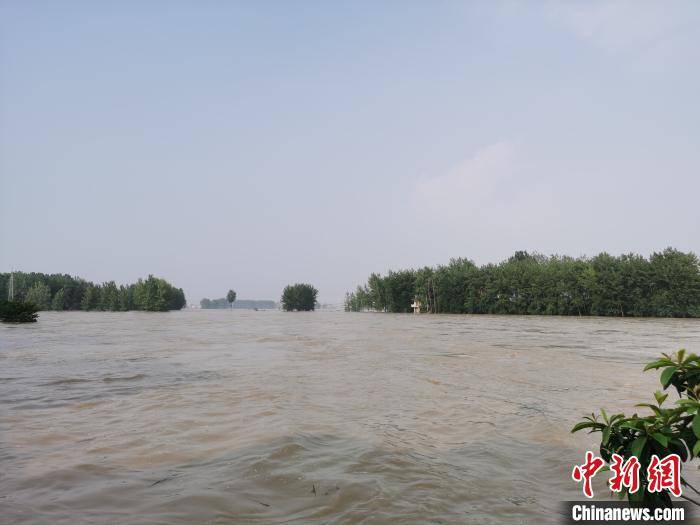 最新王家坝水位下的日常生活观察