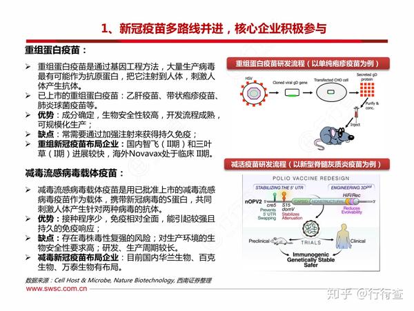 最新疫情预苗研发揭秘,小巷深处的神秘研发之旅