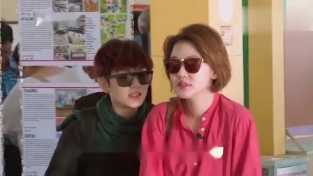 真友最新版,技术革新与用户体验的完美结合升级发布