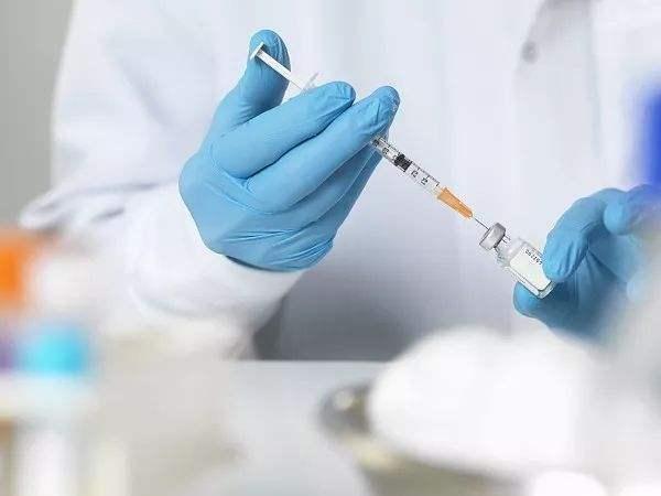 不锈钢链条 第252页