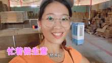 丽君新视频深度探讨与解析