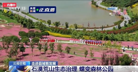弥勒新闻今日快讯，学习之光，自信与成就感的源泉
