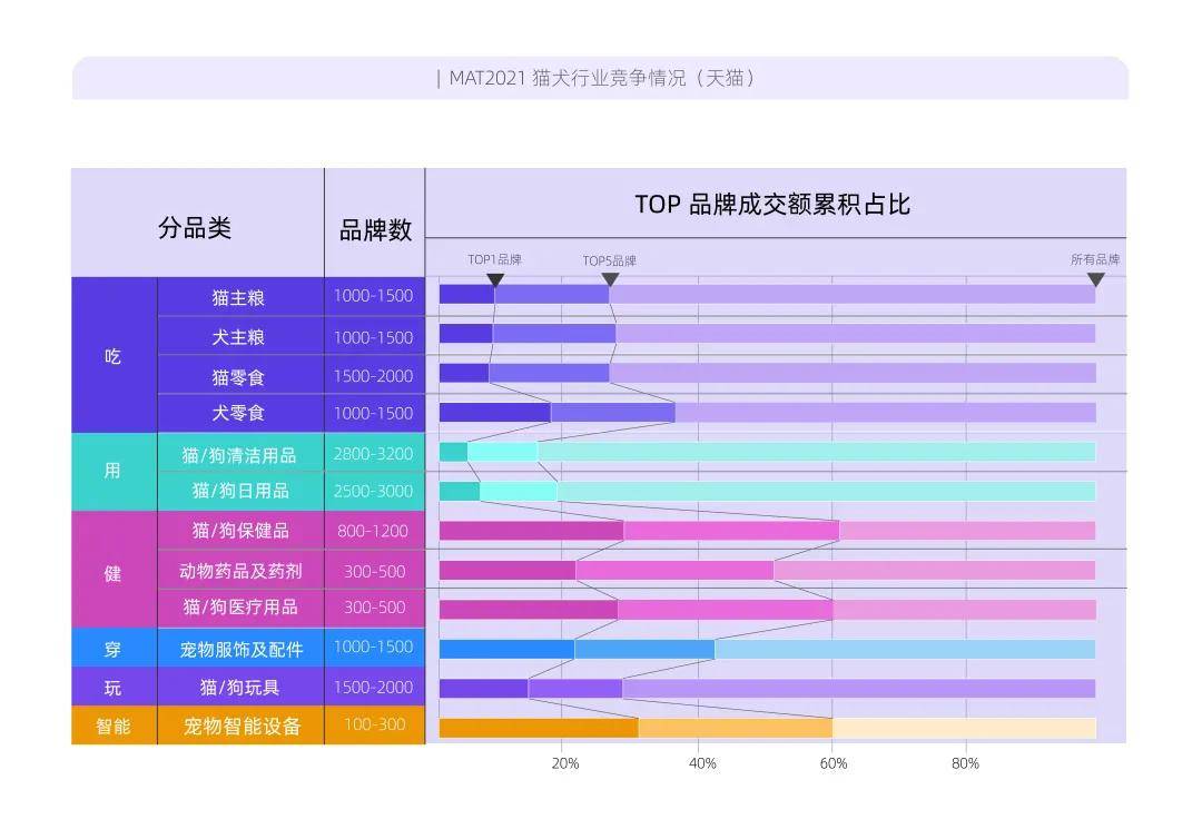 最新宠物命名趋势,一场关于爱与创新的热议