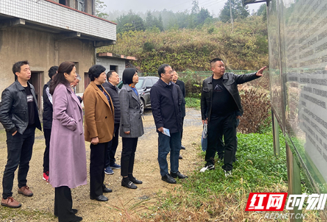 桃江红网武潭最新资讯速递