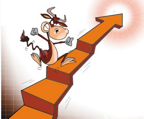 断行情解析,入门新手必读指南