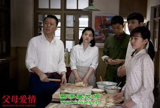 父母爱情演员全阵容揭秘,深度解读角色与演员魅力