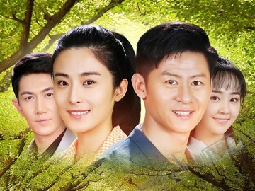 我的仨妈俩爸演员阵容深度解析，角色与演员魅力探究