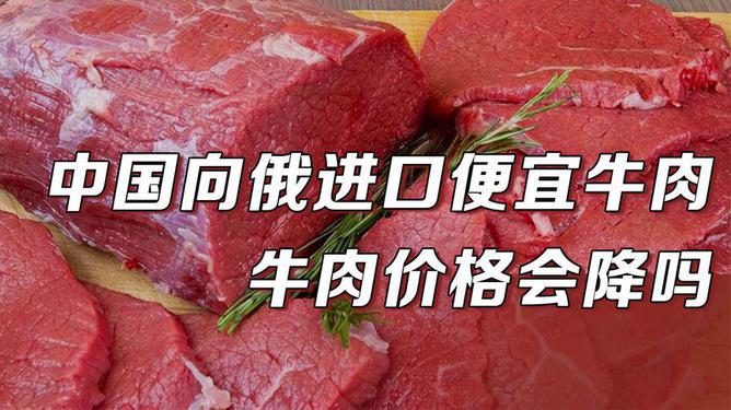 进口肉行情详解，市场动态把握与选购策略指南