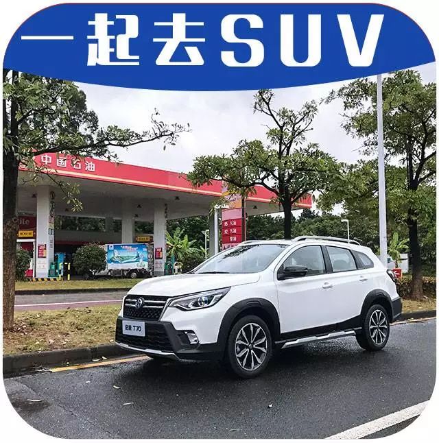 东风最新动态更新🌟