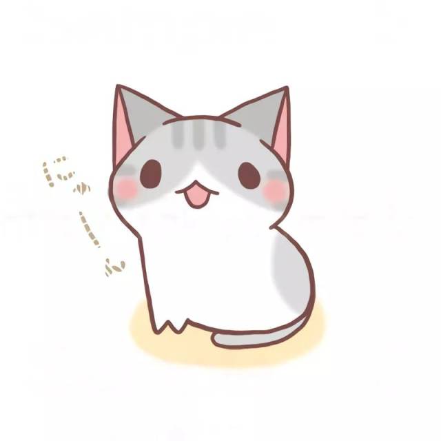 动漫小猫头像，自信与成长的跃动篇章风采