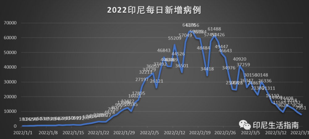 印尼最新疫情数据,小巷深处的防疫奇迹与美食瑰宝探索