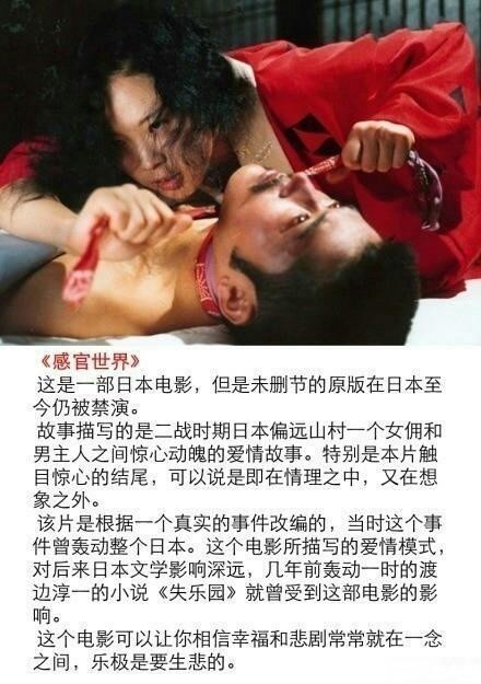 深度解析禁片最新网址,警示教育与风险警示的紧迫性