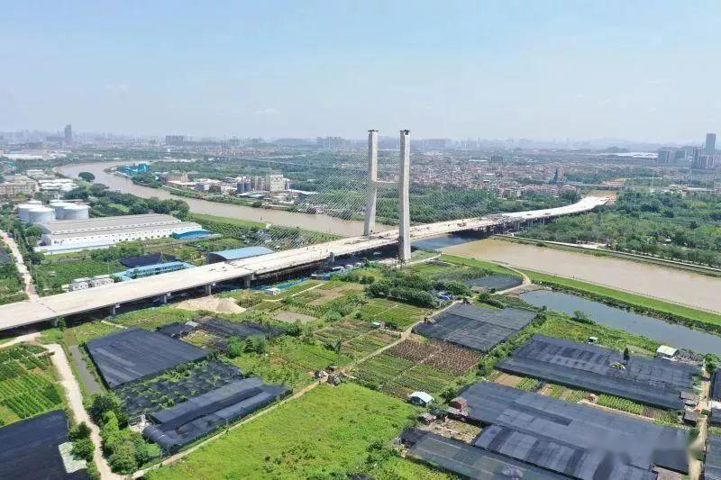 海华大桥建设最新进展及未来展望