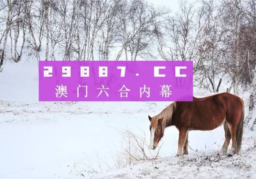＂新澳门4949六开彩＂的：灵活执行方案_计算能力版8.89