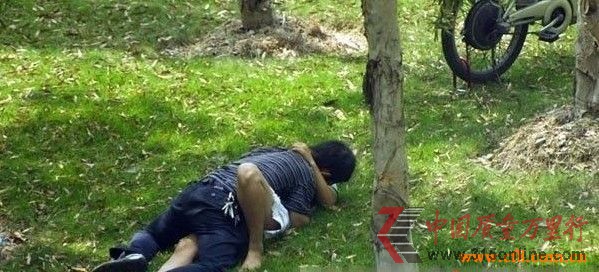 最新野战门图片大全,爱与陪伴的冒险之旅