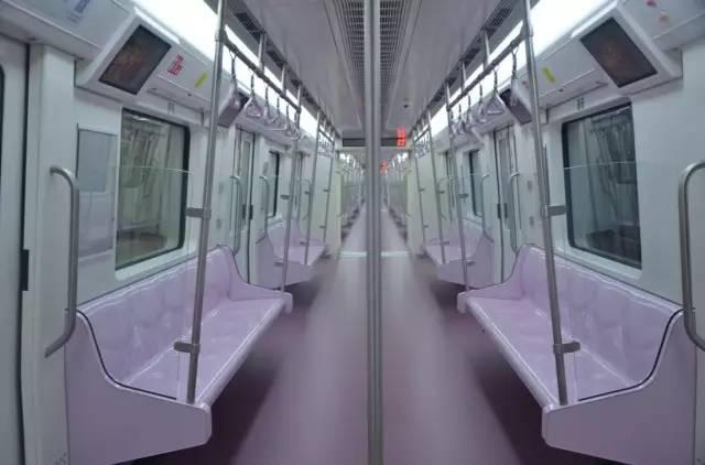 鱼化寨最新资讯,跃入知识海洋,自信成就梦想之旅