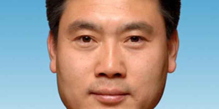 徐大彤近况，多维度视角下的深入探讨