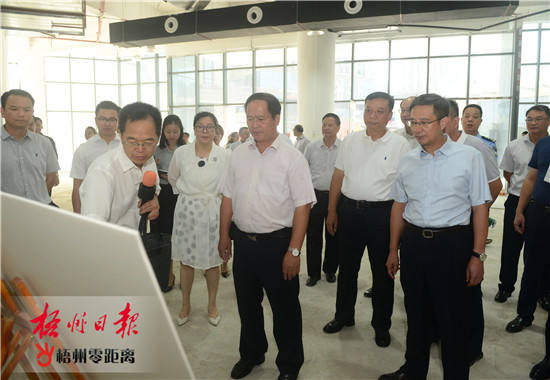 桂书记最新动态,小巷深处的独特风味