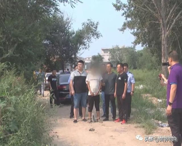 河间命案最新进展,阳光下的温情解密之旅