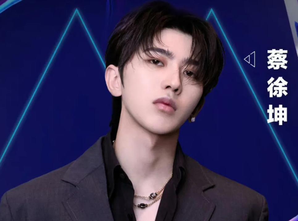 明星蔡的温馨日常生活