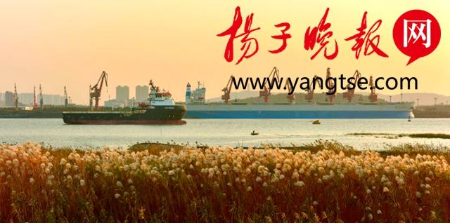 张家港最新副市长职责分配详解，指南与概览